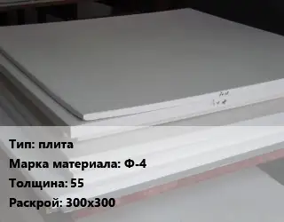 Фторопласт плита плита Ф-4 s=55 300х300